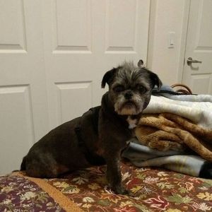 Meet your Posher, Dee dee